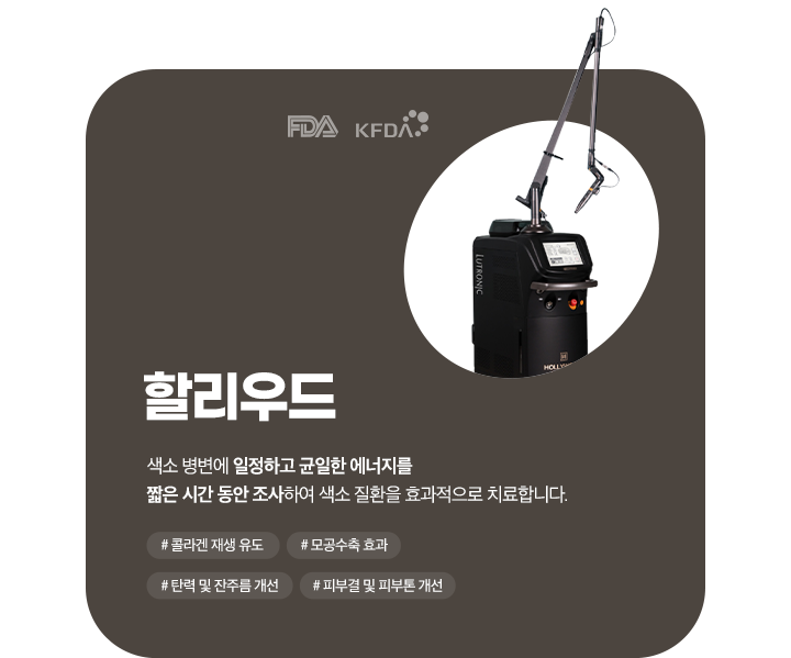 할리우드