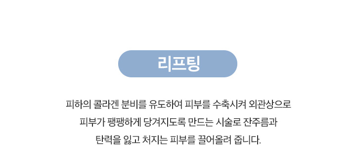 리프팅