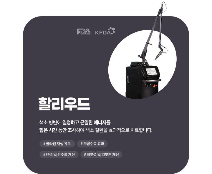 할리우드