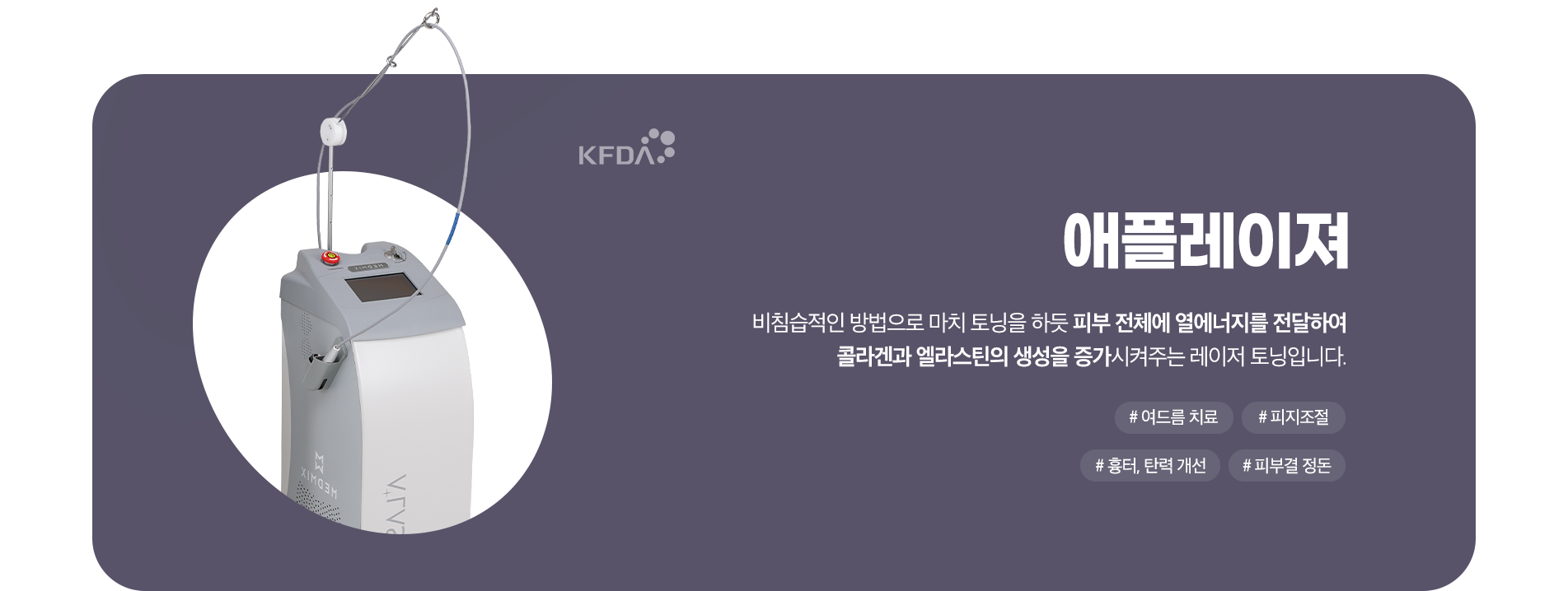 애플레이저