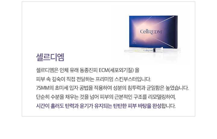 셀드리엠