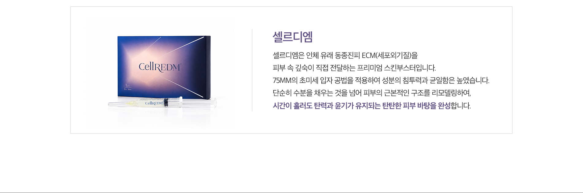 셀드리엠