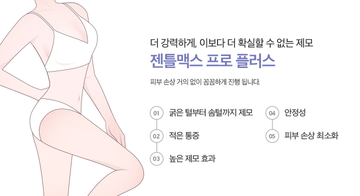 젠틀맥스 프로 플러스