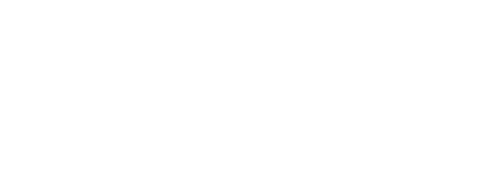 젠틀맥스 프로 플러스