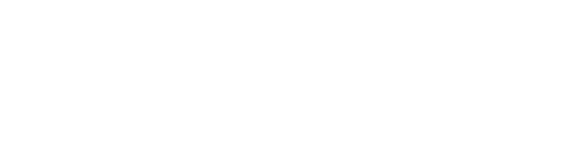 젠틀맥스 프로 플러스