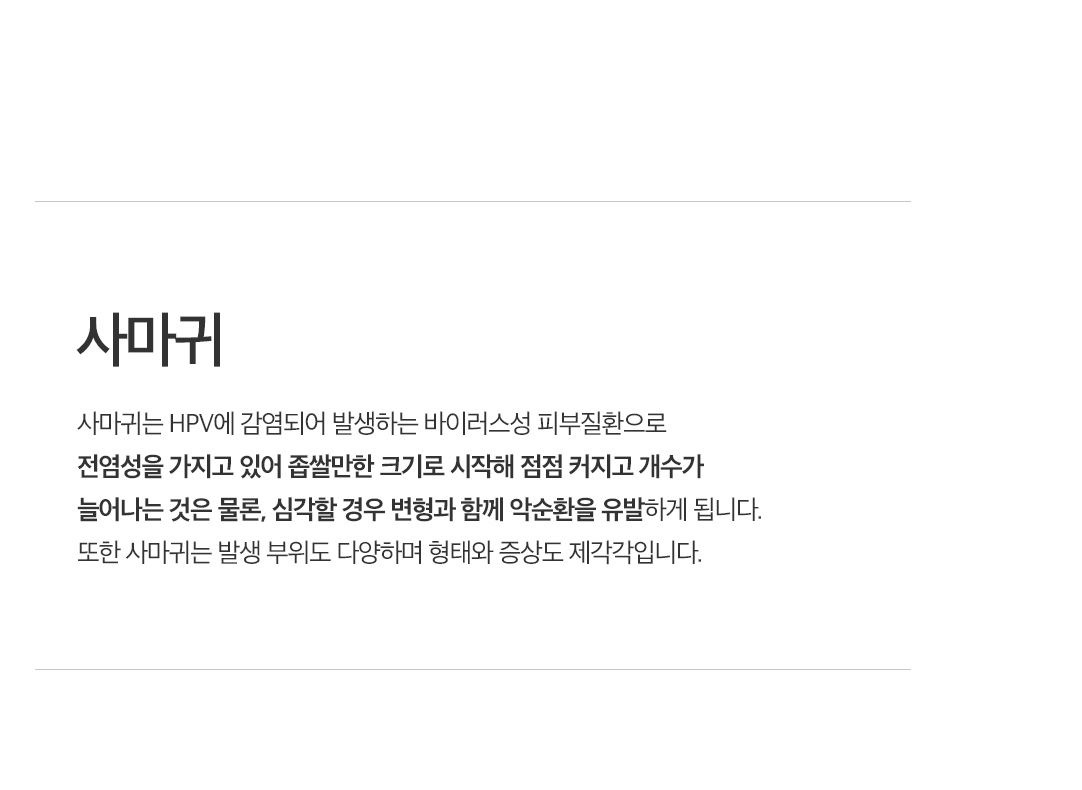 사마귀